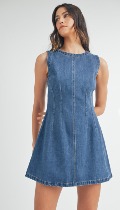 Delilah Denim Mini Dress